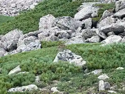 薬師岳祠(薬師岳山頂 薬師堂)の{uncategorized: "未分類", other: "その他", undefined: "問題あり", building: "その他建物", grave: "お墓", sacred_gate: "鳥居", guardian: "狛犬", statue: "像", buddha: "仏像", history: "歴史", nature: "自然", garden: "庭園", animal: "動物", pagoda: "塔", temizu: "手水舎", mountain_gate: "山門・神門", sanctuary: "本殿・本堂", subordinate: "末社・摂社", art: "芸術", scenery: "景色", jizo: "地蔵", ema: "絵馬", goshuin: "御朱印", omikuji: "おみくじ", items: "授与品その他", amulet: "お守り", goshuincho: "御朱印帳", eats: "食事", festival: "お祭り", votive_dance: "神楽", shichigosan: "七五三参", wedding: "結婚式", experience: "体験その他", initially: "初詣", around: "周辺", anti_infection: "感染症対策"}