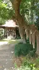 東征神社の自然