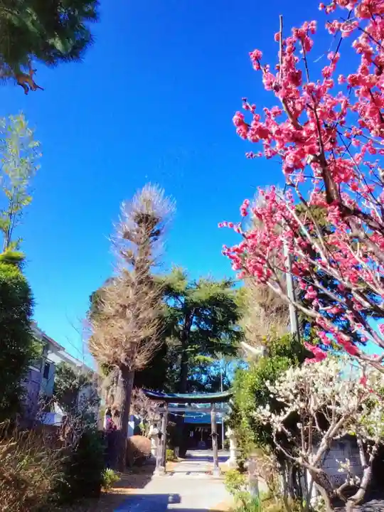 田端神社(東京都)
