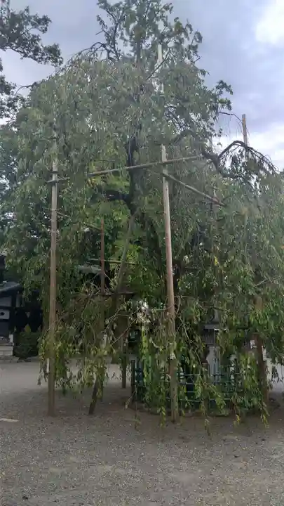 大國魂神社の庭園