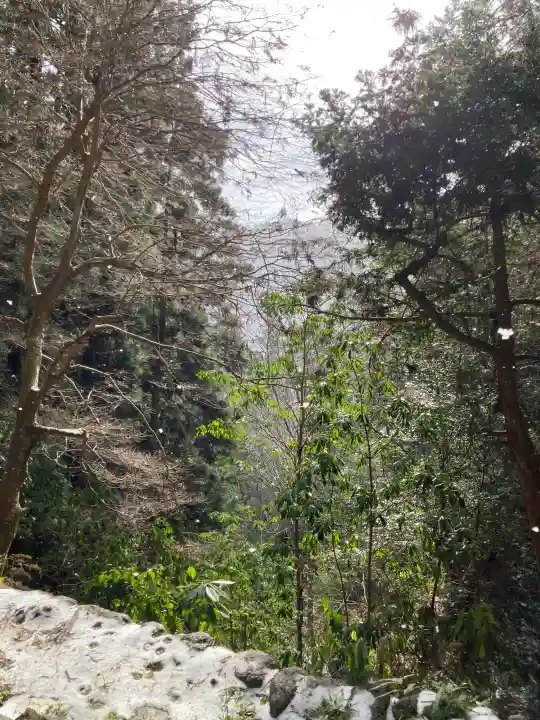 室生寺の{uncategorized: "未分類", other: "その他", undefined: "問題あり", building: "その他建物", grave: "お墓", sacred_gate: "鳥居", guardian: "狛犬", statue: "像", buddha: "仏像", history: "歴史", nature: "自然", garden: "庭園", animal: "動物", pagoda: "塔", temizu: "手水舎", mountain_gate: "山門・神門", sanctuary: "本殿・本堂", subordinate: "末社・摂社", art: "芸術", scenery: "景色", jizo: "地蔵", ema: "絵馬", goshuin: "御朱印", omikuji: "おみくじ", items: "授与品その他", amulet: "お守り", goshuincho: "御朱印帳", eats: "食事", festival: "お祭り", votive_dance: "神楽", shichigosan: "七五三参", wedding: "結婚式", experience: "体験その他", initially: "初詣", around: "周辺", anti_infection: "感染症対策"}