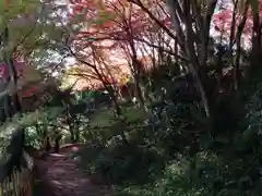 龍尾寺の自然