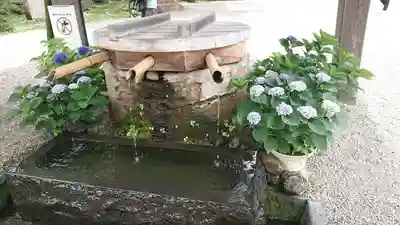 深大寺(東京都)