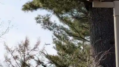稲荷神社の景色