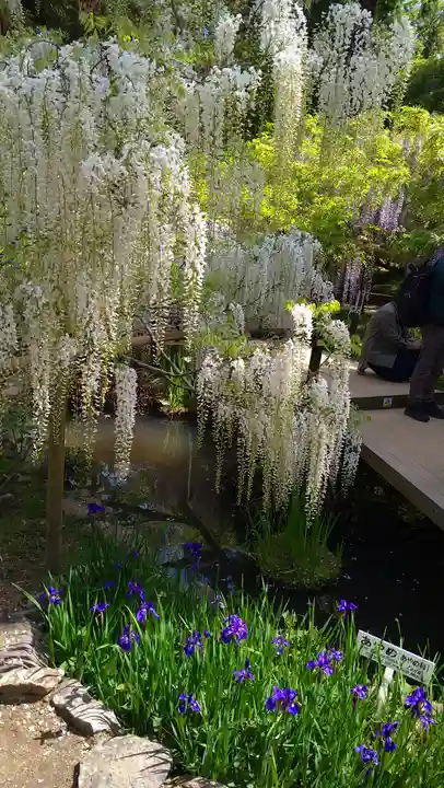 歌泉堂(春日大社神苑萬葉植物園内鎮座)(奈良県)