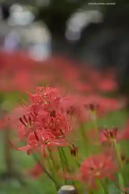 横浜　西方寺(神奈川県)