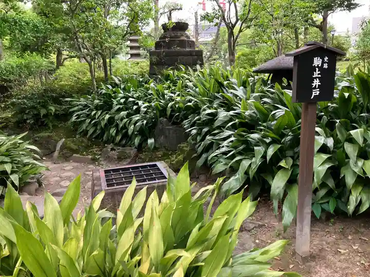 駒止稲荷神社(東京都)