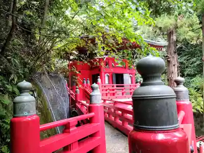 大正寺(中野不動尊)の御朱印