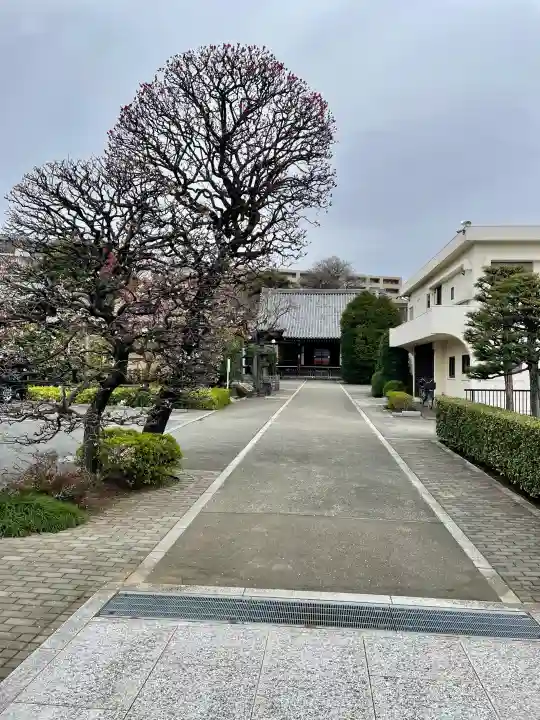 與楽寺の{uncategorized: "未分類", other: "その他", undefined: "問題あり", building: "その他建物", grave: "お墓", sacred_gate: "鳥居", guardian: "狛犬", statue: "像", buddha: "仏像", history: "歴史", nature: "自然", garden: "庭園", animal: "動物", pagoda: "塔", temizu: "手水舎", mountain_gate: "山門・神門", sanctuary: "本殿・本堂", subordinate: "末社・摂社", art: "芸術", scenery: "景色", jizo: "地蔵", ema: "絵馬", goshuin: "御朱印", omikuji: "おみくじ", items: "授与品その他", amulet: "お守り", goshuincho: "御朱印帳", eats: "食事", festival: "お祭り", votive_dance: "神楽", shichigosan: "七五三参", wedding: "結婚式", experience: "体験その他", initially: "初詣", around: "周辺", anti_infection: "感染症対策"}