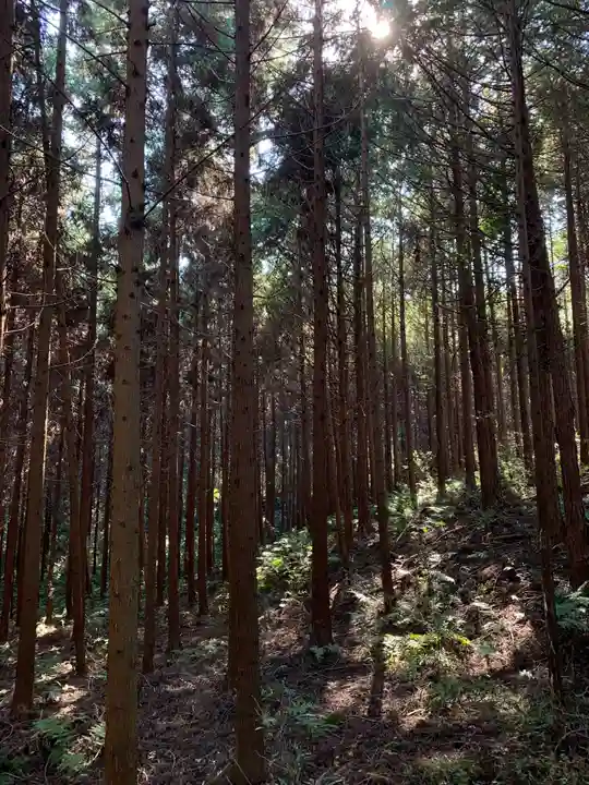 大杉神社の周辺