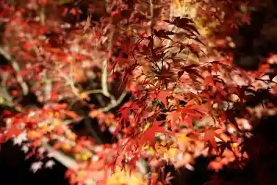 蓮光寺(山口県)