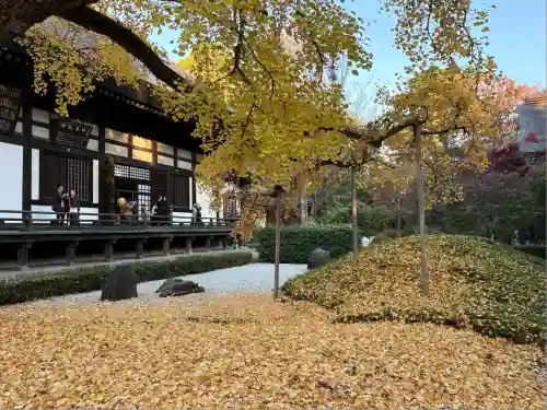 淨眞寺(東京都)
