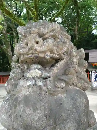 住吉神社の狛犬