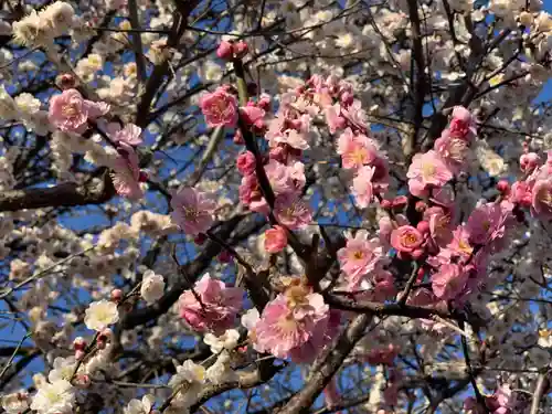 薭田神社の自然