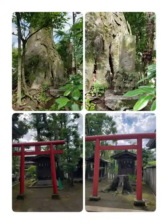 井草八幡宮(東京都)