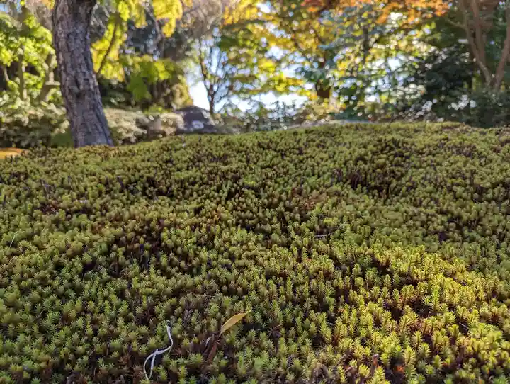 浄妙寺(神奈川県)