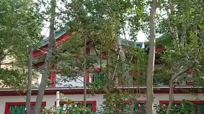 富岡八幡宮の本殿・本堂