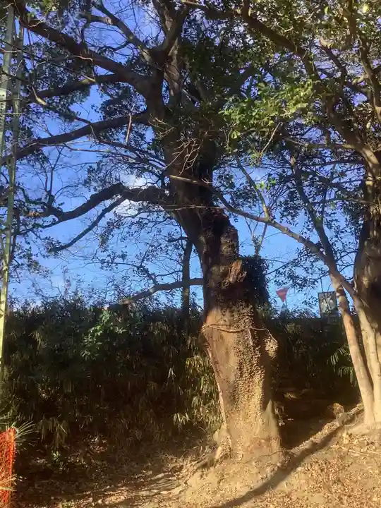 廃社・黒龍大神(愛知県)