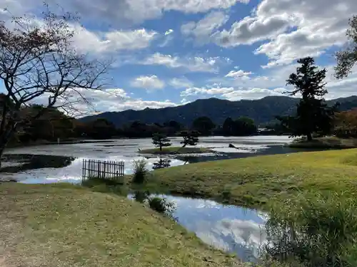 大覚寺の景色