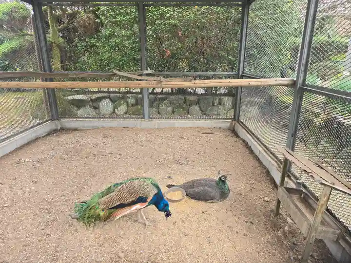 天台宗 五大山 白毫寺(兵庫県)