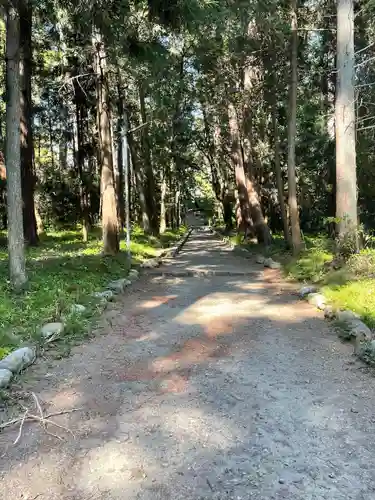 賀茂神社の自然