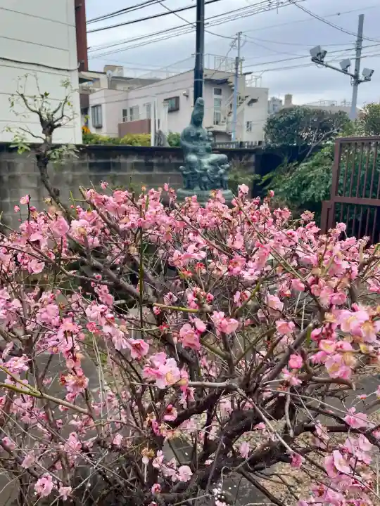 常泉寺の{uncategorized: "未分類", other: "その他", undefined: "問題あり", building: "その他建物", grave: "お墓", sacred_gate: "鳥居", guardian: "狛犬", statue: "像", buddha: "仏像", history: "歴史", nature: "自然", garden: "庭園", animal: "動物", pagoda: "塔", temizu: "手水舎", mountain_gate: "山門・神門", sanctuary: "本殿・本堂", subordinate: "末社・摂社", art: "芸術", scenery: "景色", jizo: "地蔵", ema: "絵馬", goshuin: "御朱印", omikuji: "おみくじ", items: "授与品その他", amulet: "お守り", goshuincho: "御朱印帳", eats: "食事", festival: "お祭り", votive_dance: "神楽", shichigosan: "七五三参", wedding: "結婚式", experience: "体験その他", initially: "初詣", around: "周辺", anti_infection: "感染症対策"}