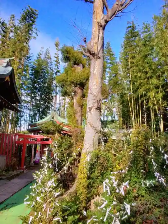 鷺宮八幡神社(東京都)