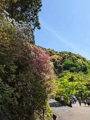三室戸寺(京都府)