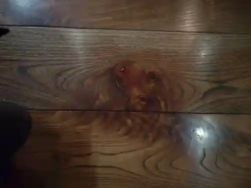 松尾観音寺(三重県)