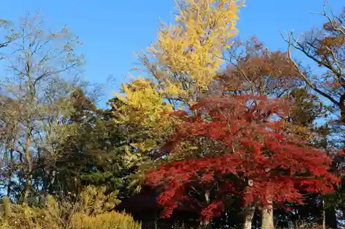 八幡神社の庭園