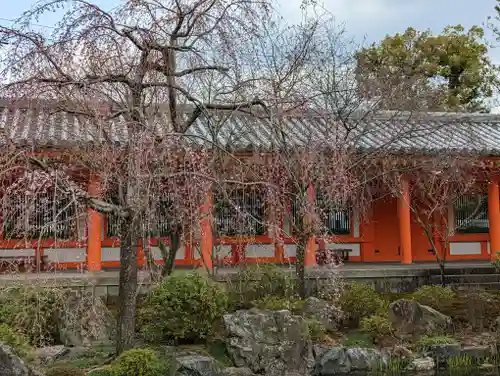 蓮華王院（三十三間堂）(京都府)