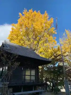 温泉神社〜いわき湯本温泉〜(福島県)
