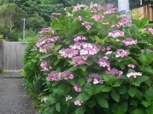 御霊神社の自然