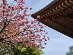 観音寺の自然