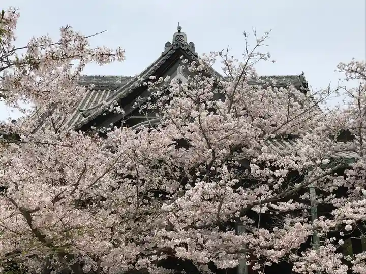 金剛宝寺(紀三井寺)の自然