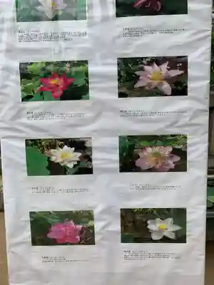 生田神社(兵庫県)