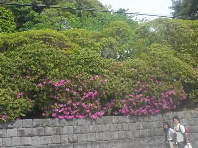 安養院 (田代寺)のその他建物