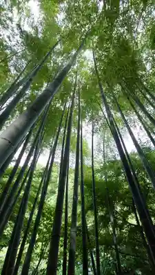 明月院(神奈川県)