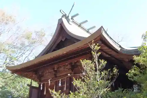 神田神社の本殿