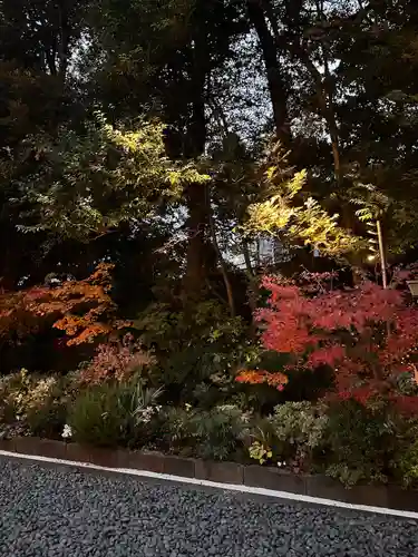 東京大神宮(東京都)