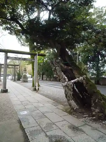 一言主神社の鳥居