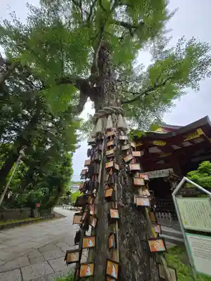 素盞雄神社(東京都)