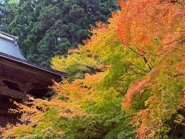 萬徳寺(福井県)