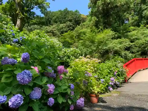 普門寺(切り絵御朱印発祥の寺)の庭園