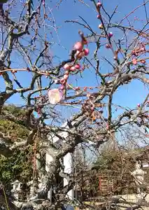 比佐豆知神社(三重県)(2024年01月30日(火) 09時28分54秒投稿)