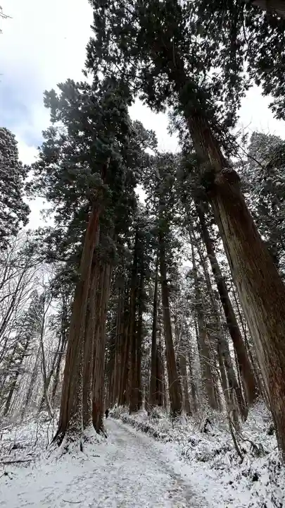 戸隠神社九頭龍社(長野県)