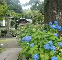 大聖寺の自然