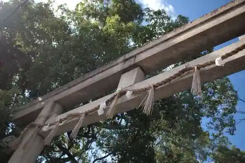 刺田比古神社の鳥居