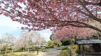 圓光寺(京都府)