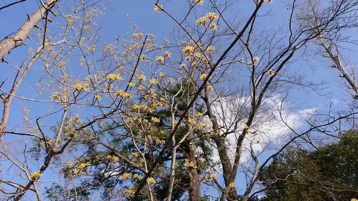 岩殿山安楽寺(吉見観音)のその他建物